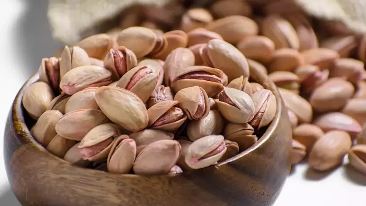 قیمت و خرید پسته بستهبندی شده + فروش ارزان