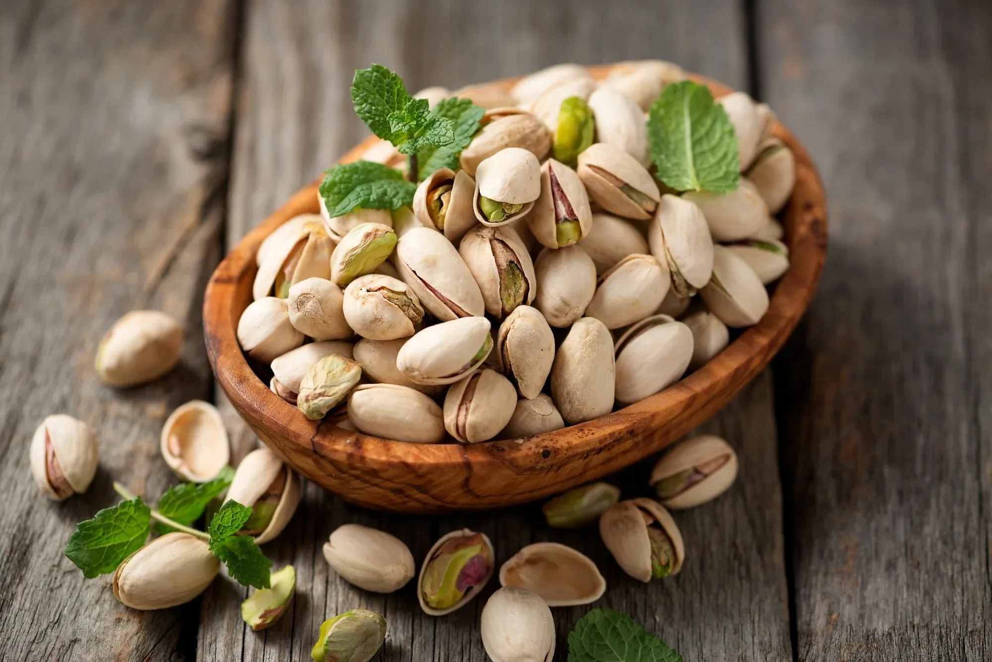 راهنمای خرید پسته اکبری تازه + قیمت عالی