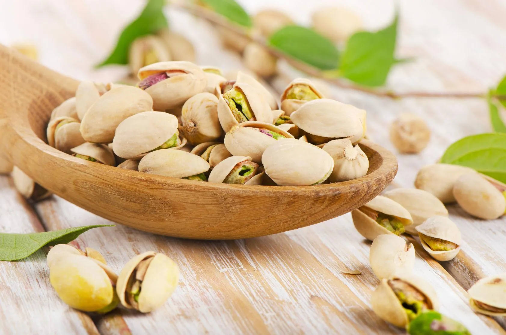 خرید انواع پسته درجه یک + قیمت