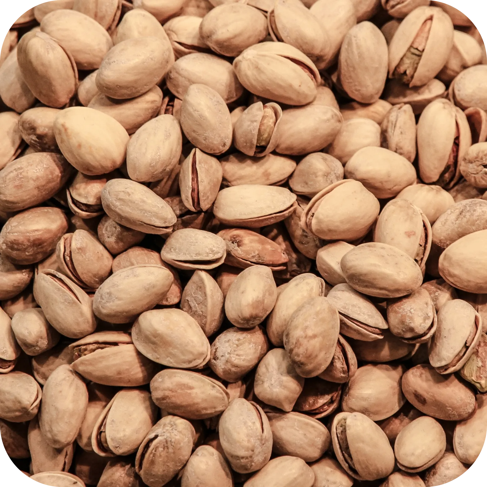 راهنمای خرید پسته شور شده + قیمت عالی