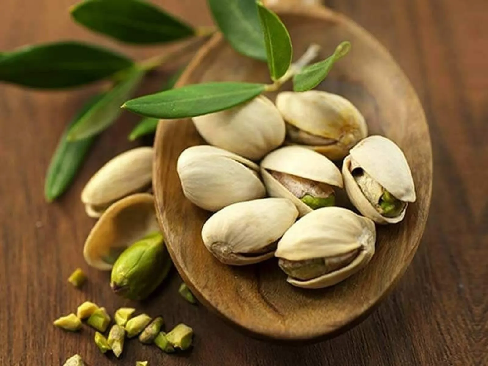 خرید انواع پسته درجه یک + قیمت