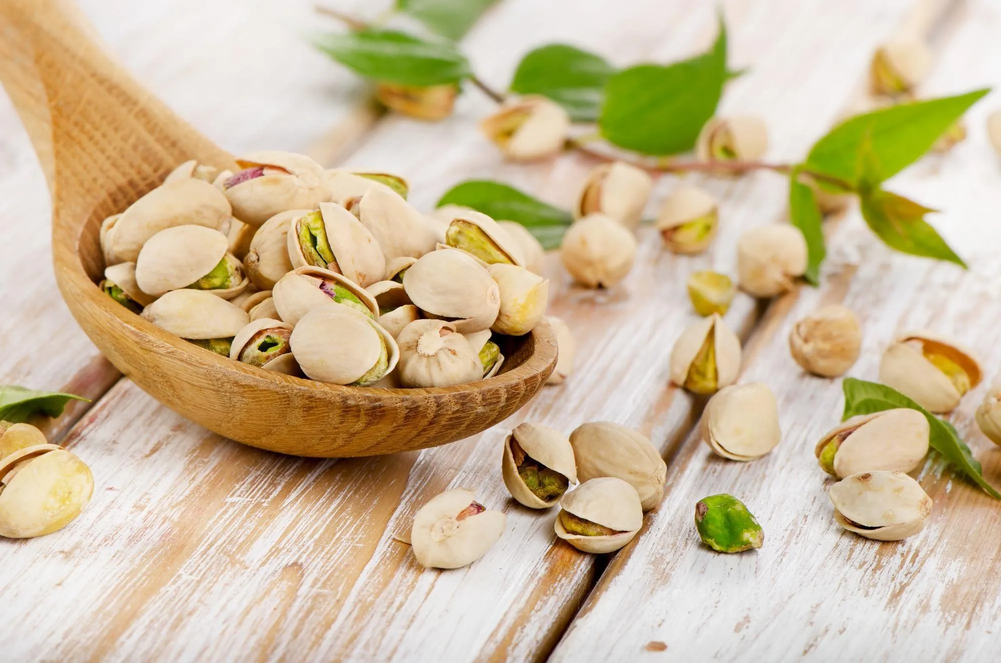 خرید و قیمت روز پسته احمدآقایی