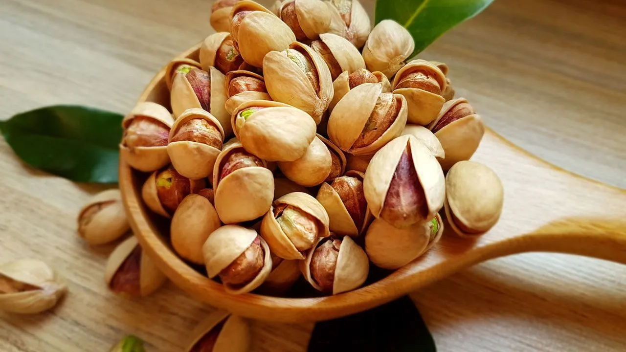 قیمت خرید پسته ممتاز شور + مشخصات، عمده ارزان